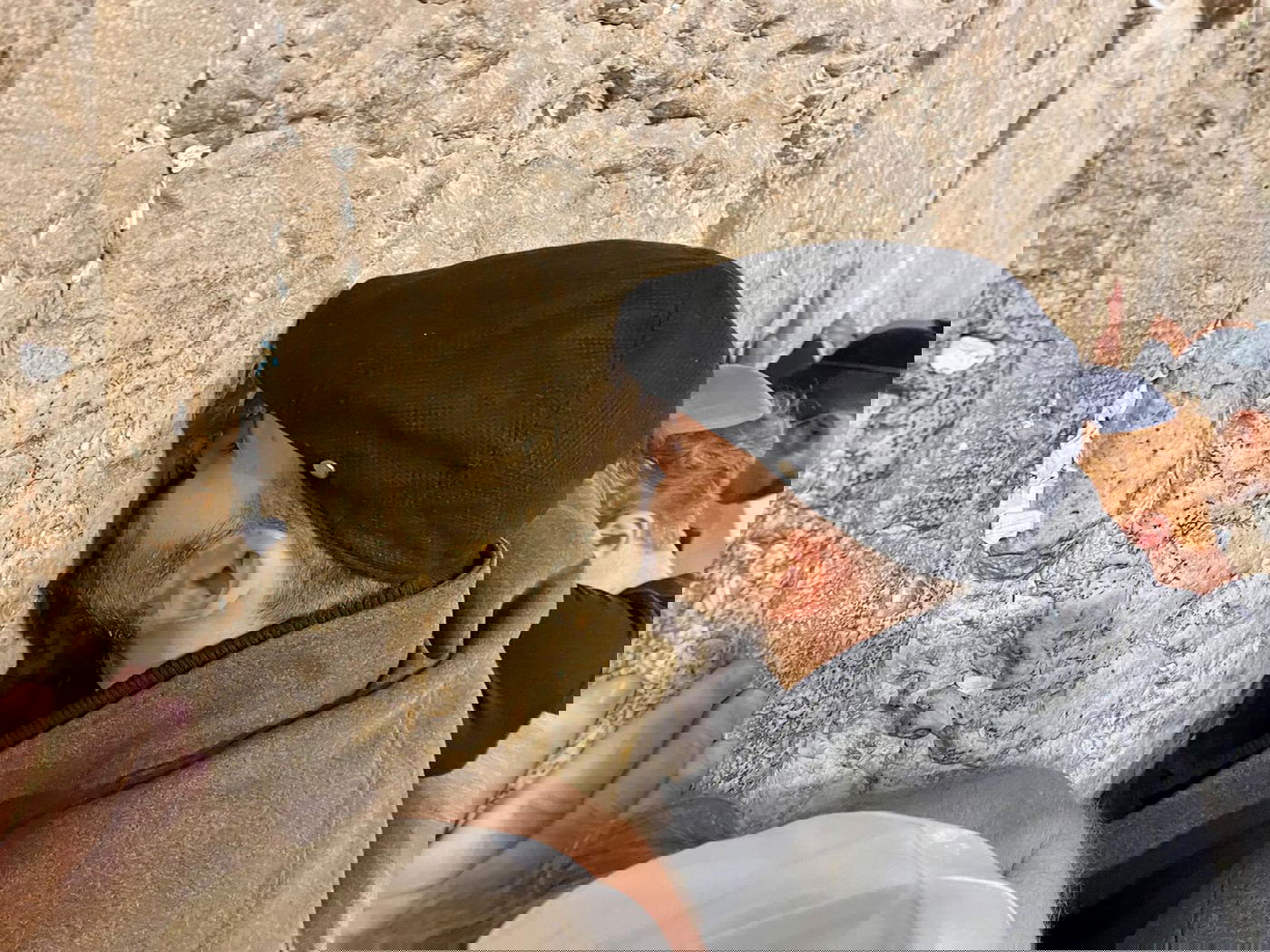 השחקן והזמר ביקשו סליחה בכותל המערבי