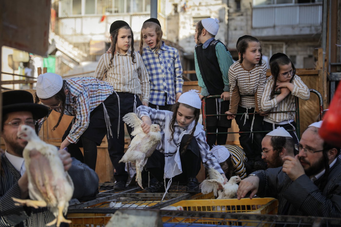 כפי המסורת העתיקה: הכפרות ב'שוק מאה שערים' | צפו