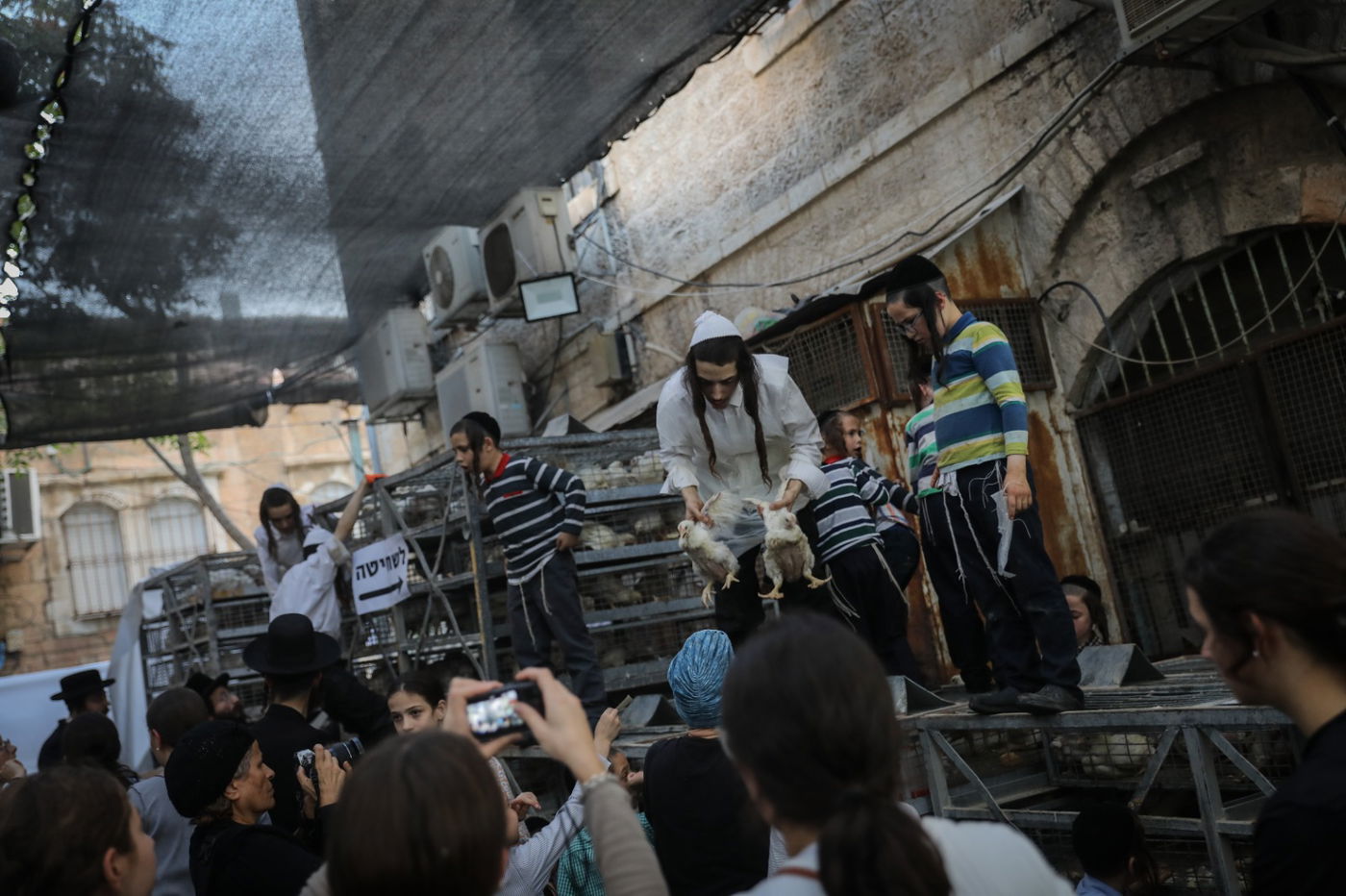 כפי המסורת העתיקה: הכפרות ב'שוק מאה שערים' | צפו