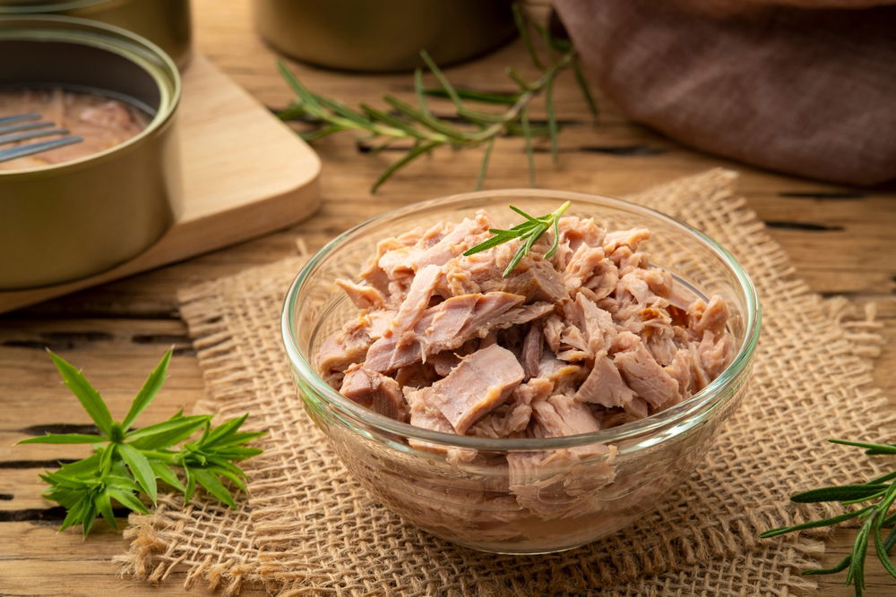 תמונת אילוסטרציה