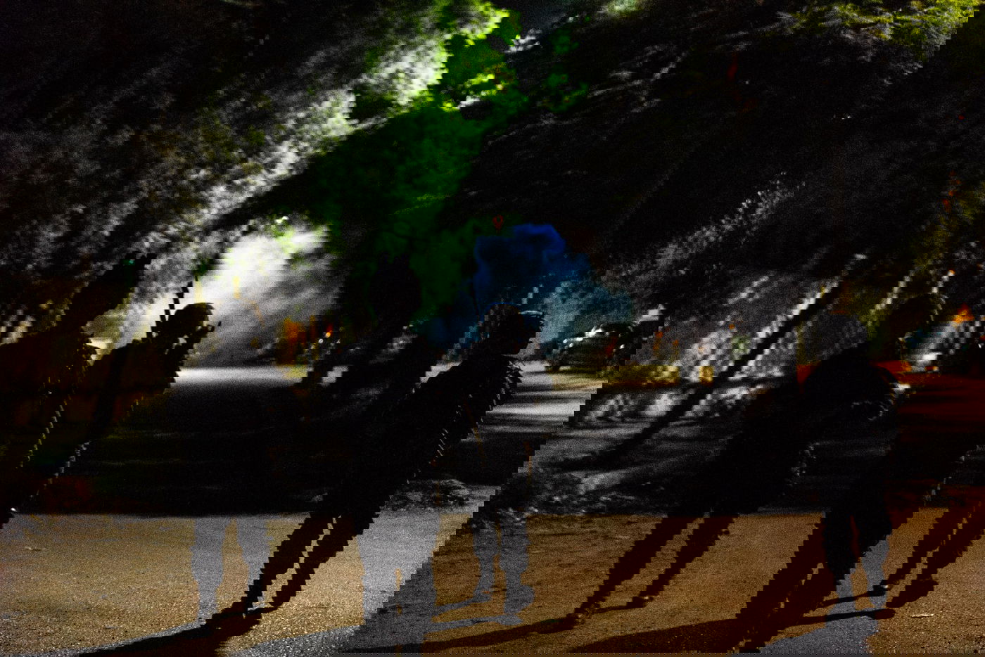 פעילות הלוחמים, הלילה