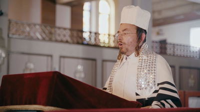 יעקב שטארק מבצע גנשוף: "הושע נא"