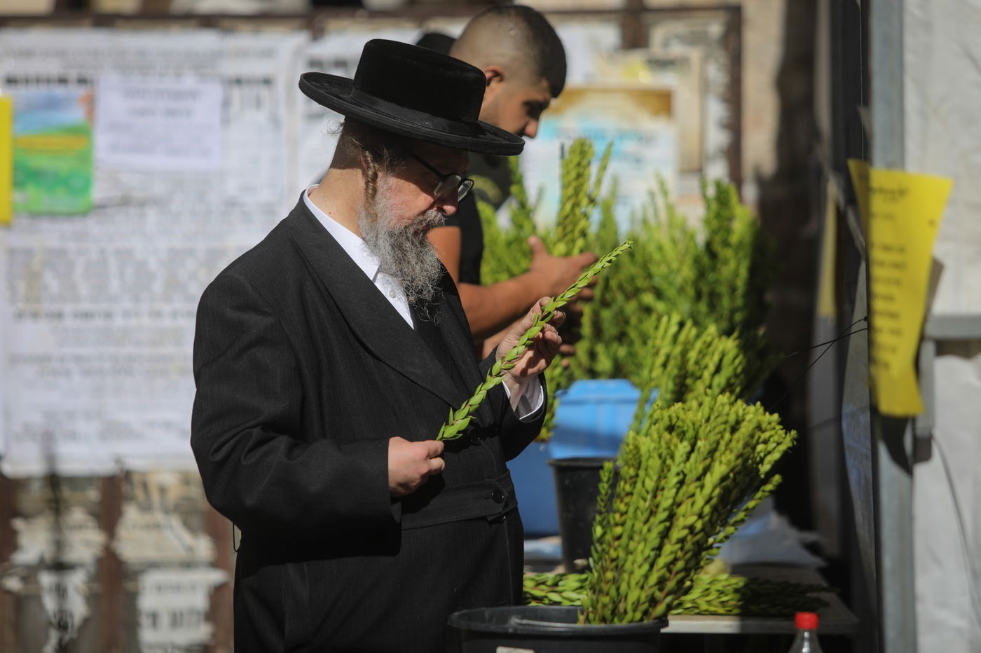 בגאולה ובמאה שערים: כך נראות ההכנות לחג הסוכות