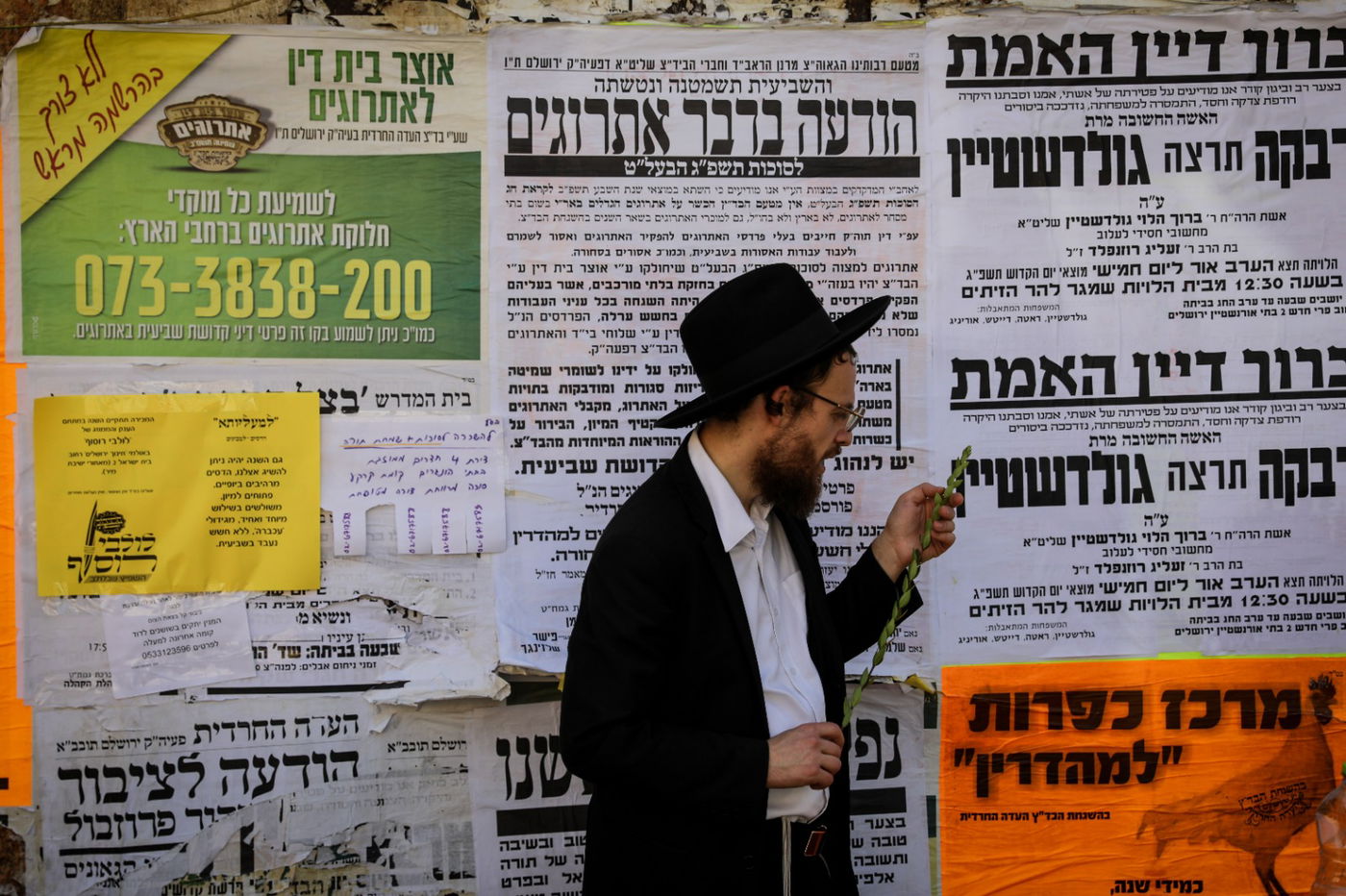 בגאולה ובמאה שערים: כך נראות ההכנות לחג הסוכות