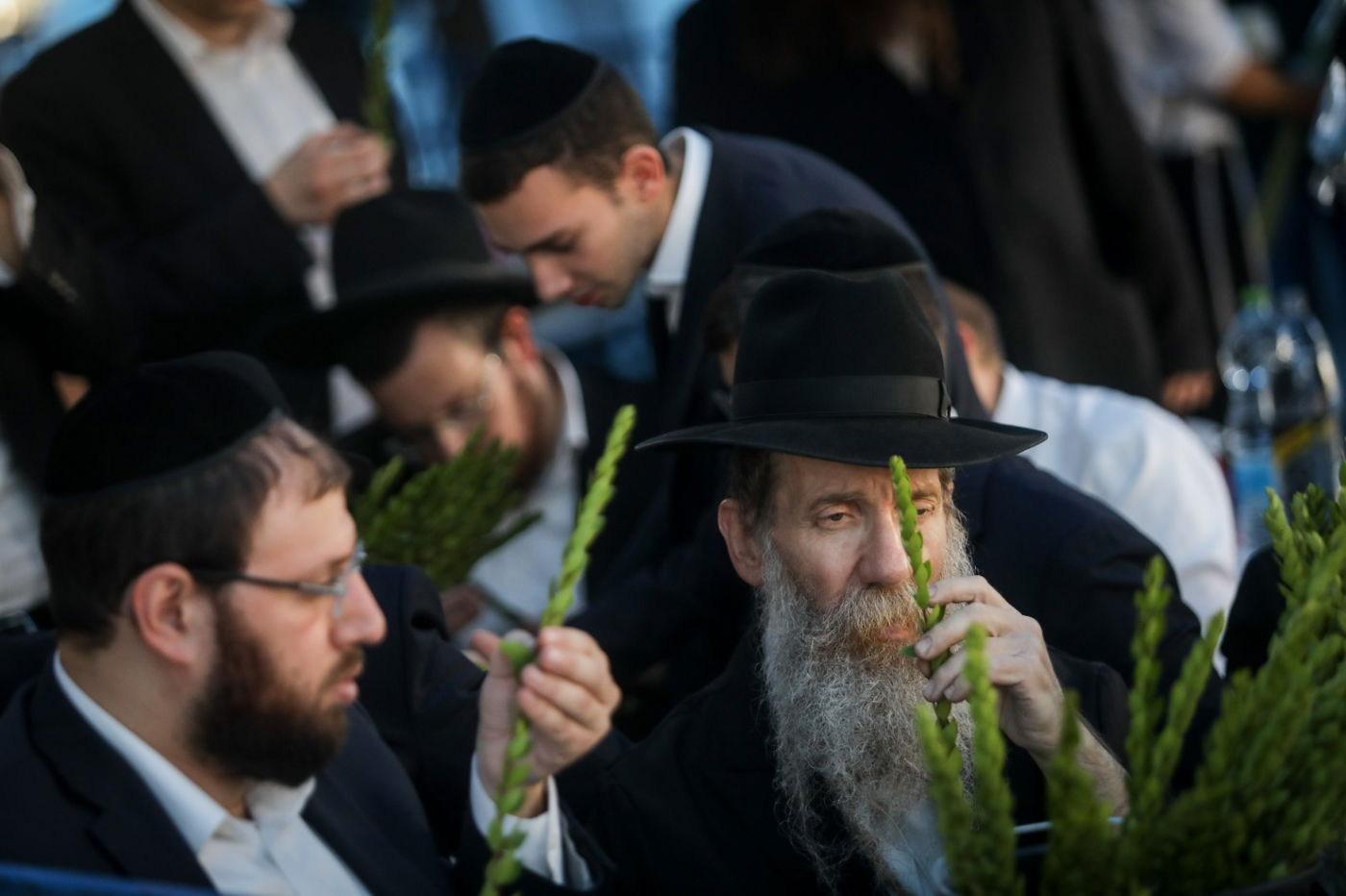 בגאולה ובמאה שערים: כך נראות ההכנות לחג הסוכות