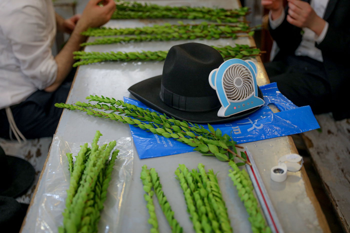 רגע אחרי הצום; האברכים בחרו ארבעת המינים • תיעוד