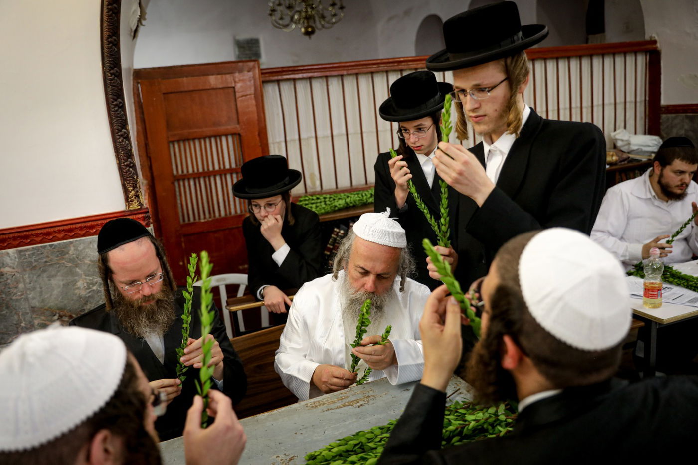 רגע אחרי הצום; האברכים בחרו ארבעת המינים • תיעוד