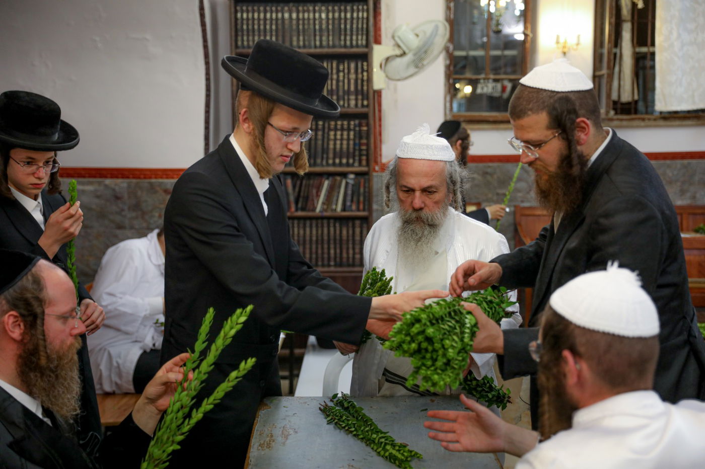 רגע אחרי הצום; האברכים בחרו ארבעת המינים • תיעוד