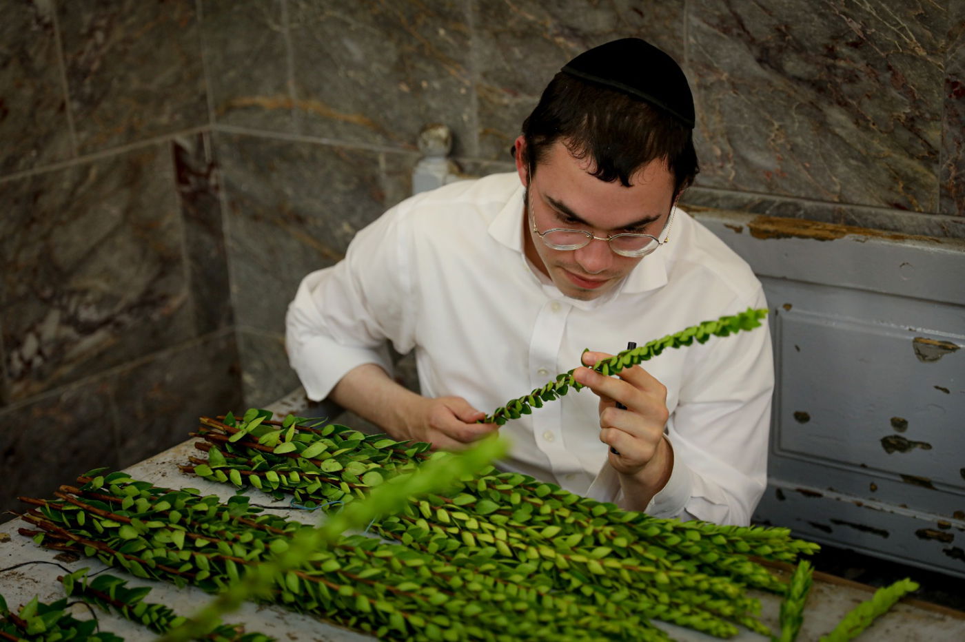 רגע אחרי הצום; האברכים בחרו ארבעת המינים • תיעוד