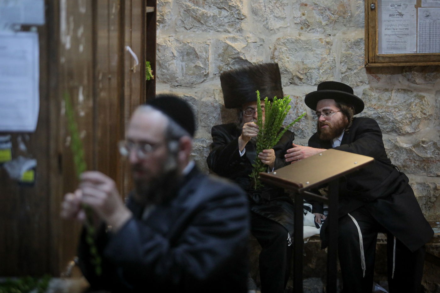 רגע אחרי הצום; האברכים בחרו ארבעת המינים • תיעוד