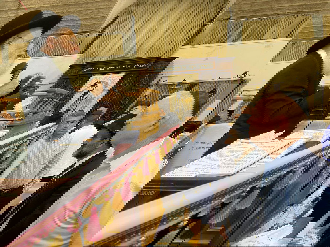 זופניק בכיכר • כל התמונות והנייעס של השבוע