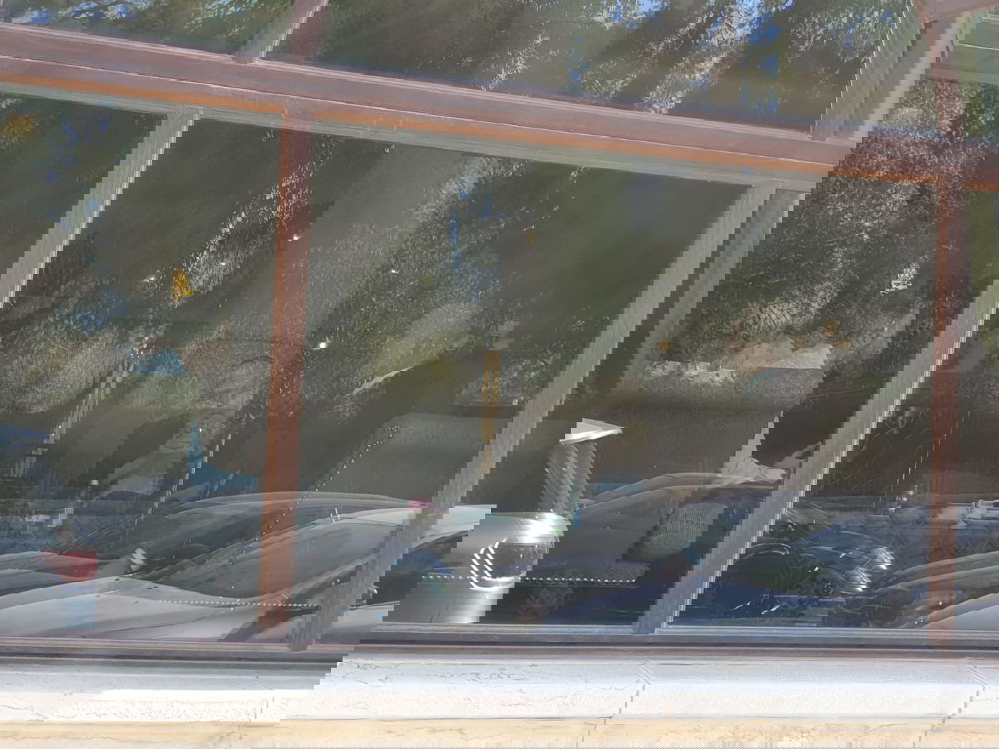 זופניק בכיכר • כל התמונות והנייעס של השבוע