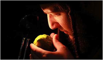 בוחר אתרוג. למצולם אין קשר לנאמר בכתבה