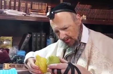 הרב מסתפק בין שני אתרוגים