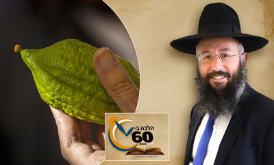 נטילת ארבעת המינים: מתי מגביהים את האתרוג?
