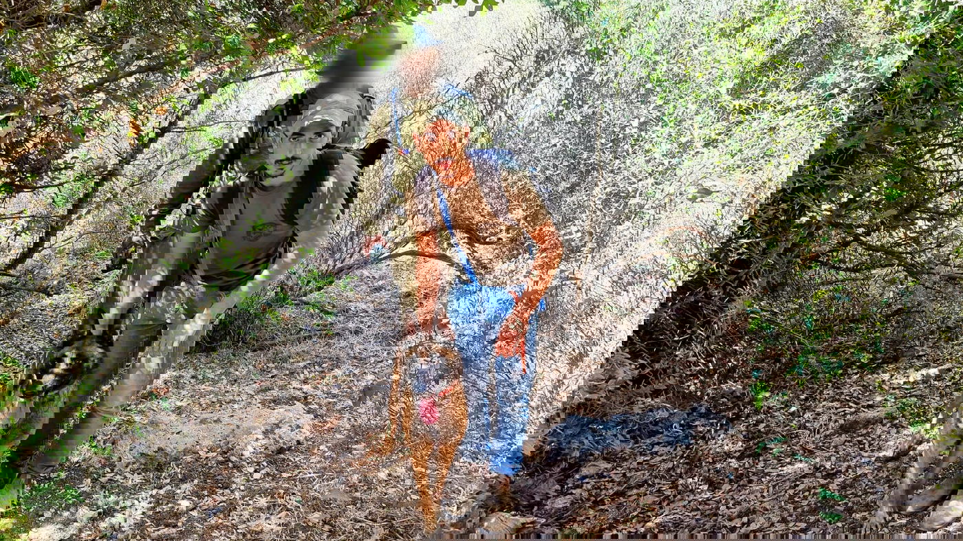 מחפשים את מוישי: מה מצאו המתנדבים בתוך המערה?