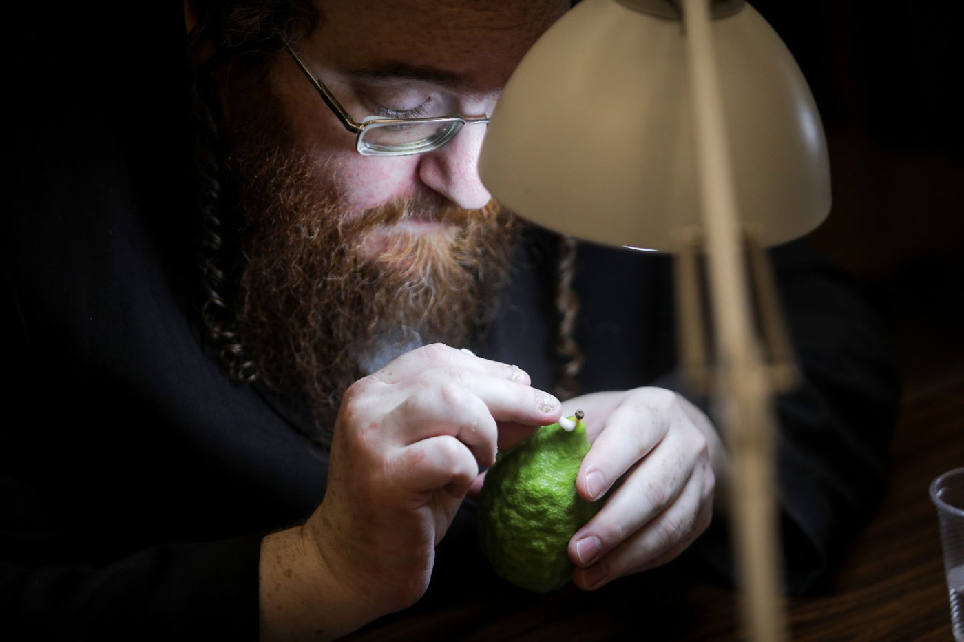 למה צריך לשים לב כאשר קונים אתרוג בשנת שמיטה?