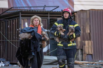 אישה מפונה מבית המופגז בקייב, היום