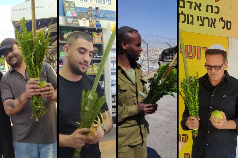 כל הארץ ד' מינים