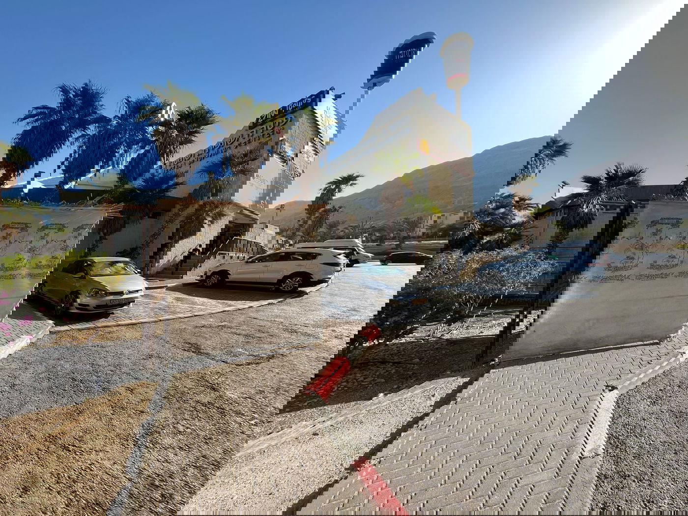 כל הארץ לולב: עם ישראל נוטל ארבעת המינים • גלריה