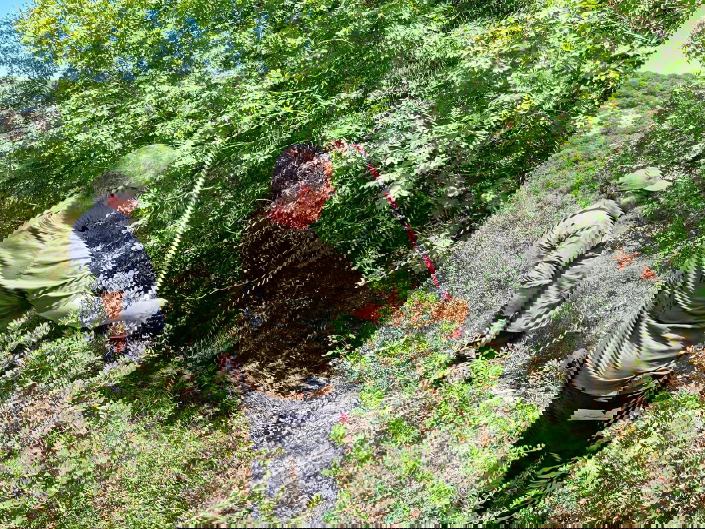 החיפושים בתחילת השבוע