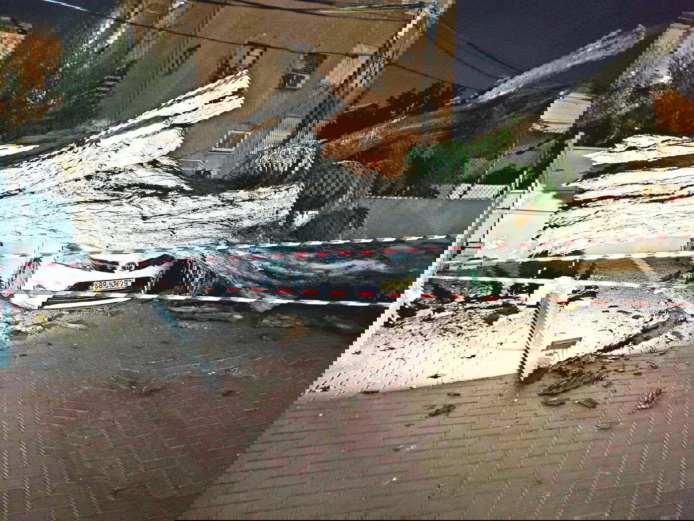 העץ על הרכב