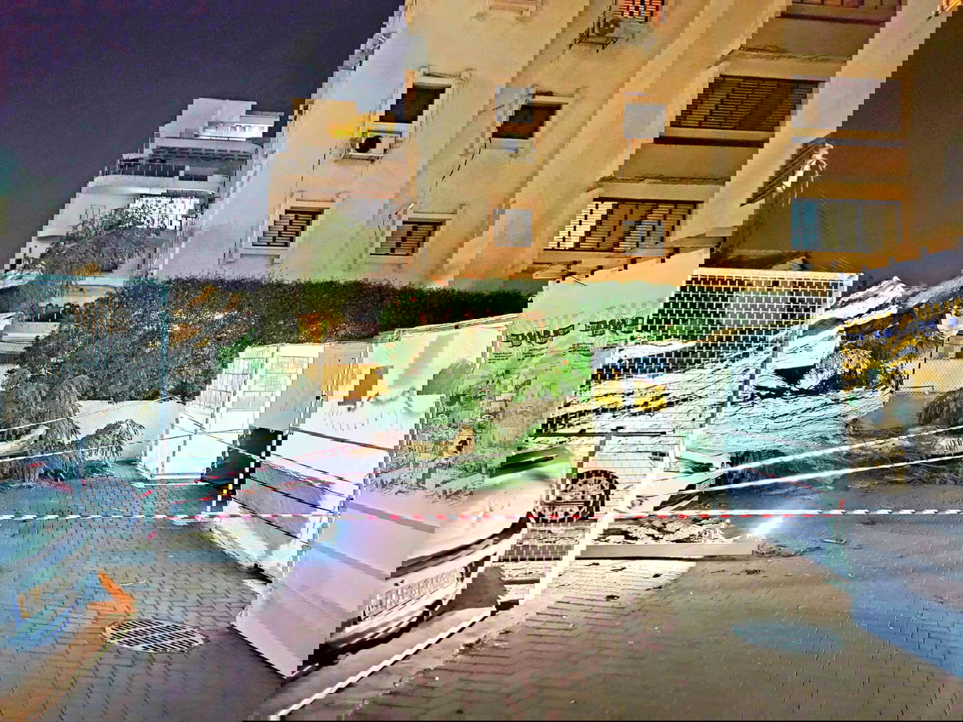 העץ והסוכות