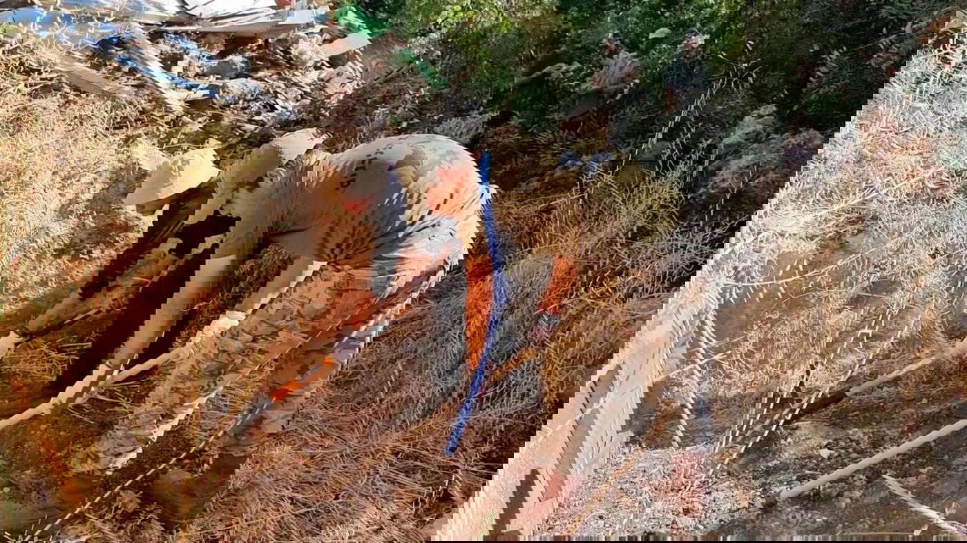 מחפשים בכל מקום אפשרי.