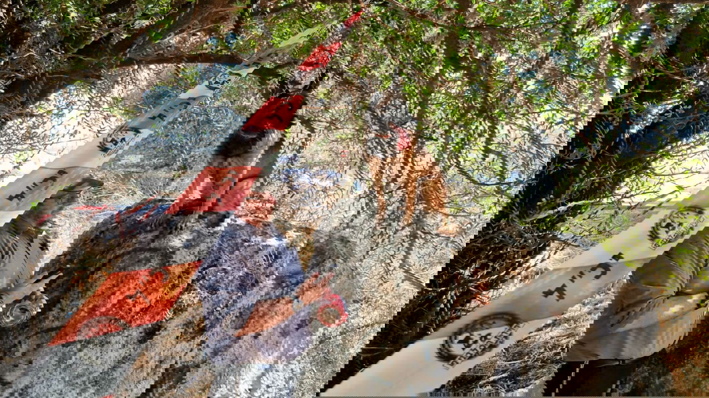 מייק בחיפושים אחרי מוישי בהרי מירון