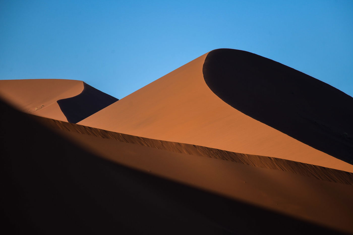 הצלם מאיר אלפסי ביקר בארץ החולות האדומים; כך זה נראה