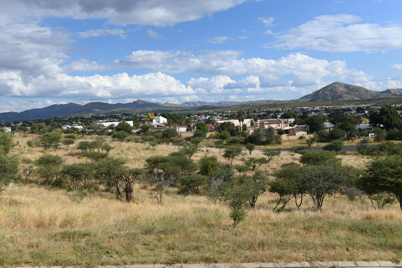 הצלם מאיר אלפסי ביקר בארץ החולות האדומים; כך זה נראה