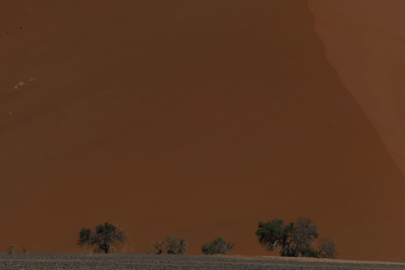 הצלם מאיר אלפסי ביקר בארץ החולות האדומים; כך זה נראה