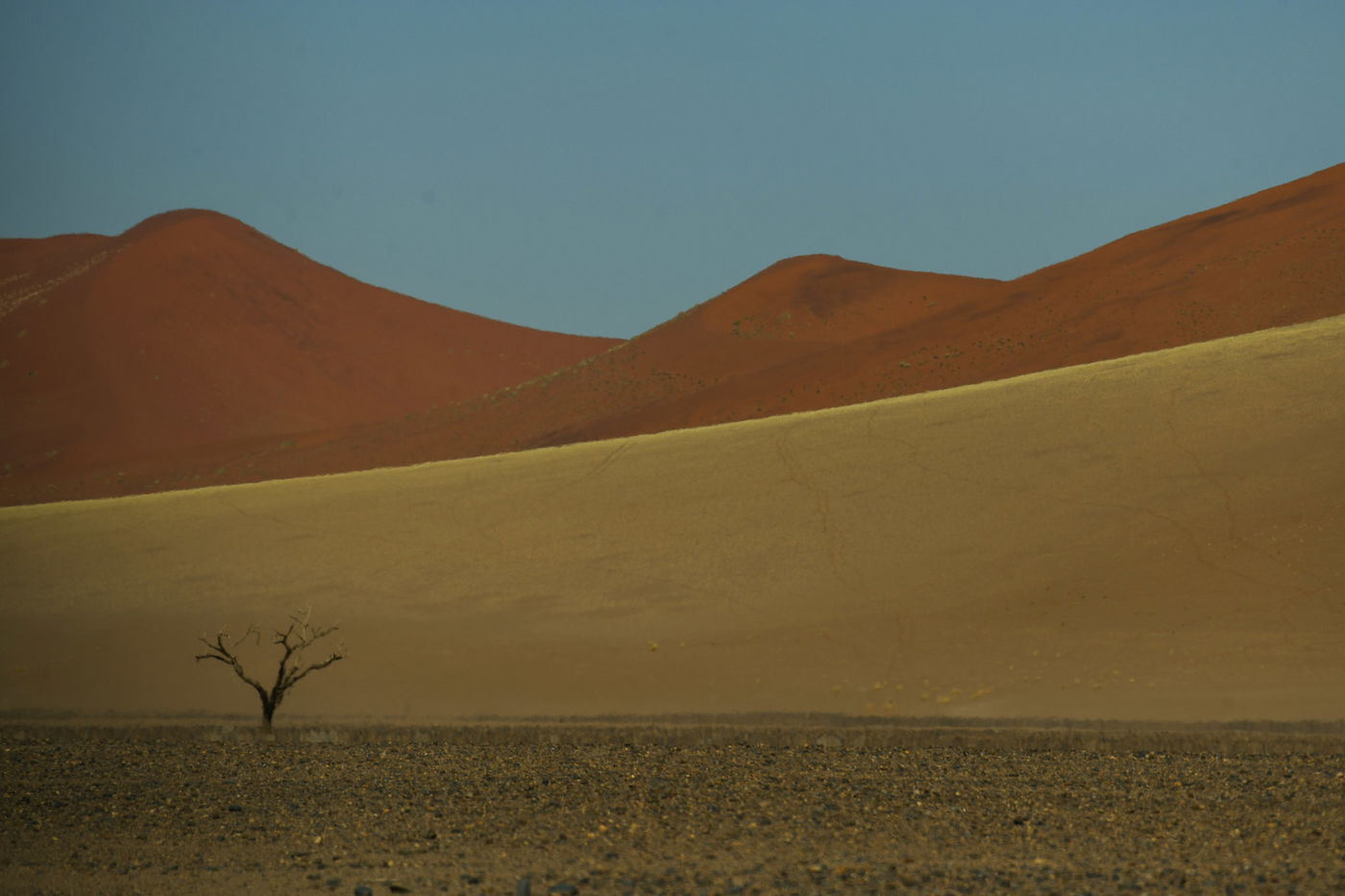 הצלם מאיר אלפסי ביקר בארץ החולות האדומים; כך זה נראה