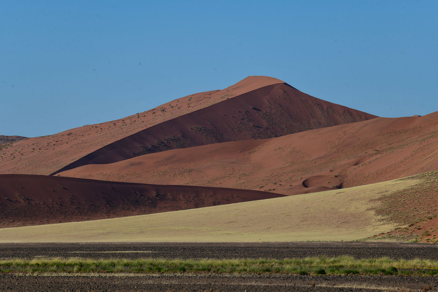 הצלם מאיר אלפסי ביקר בארץ החולות האדומים; כך זה נראה