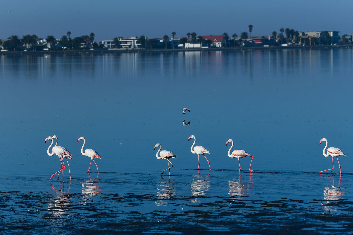 הצלם מאיר אלפסי ביקר בארץ החולות האדומים; כך זה נראה