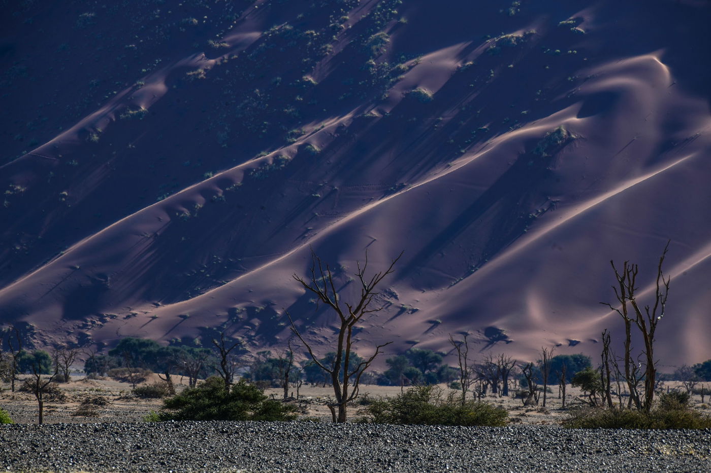 הצלם מאיר אלפסי ביקר בארץ החולות האדומים; כך זה נראה