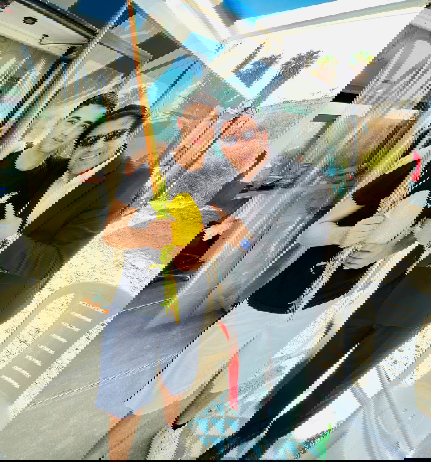 תיעוד: הסלבס קיימו את מצוות ארבעת המינים