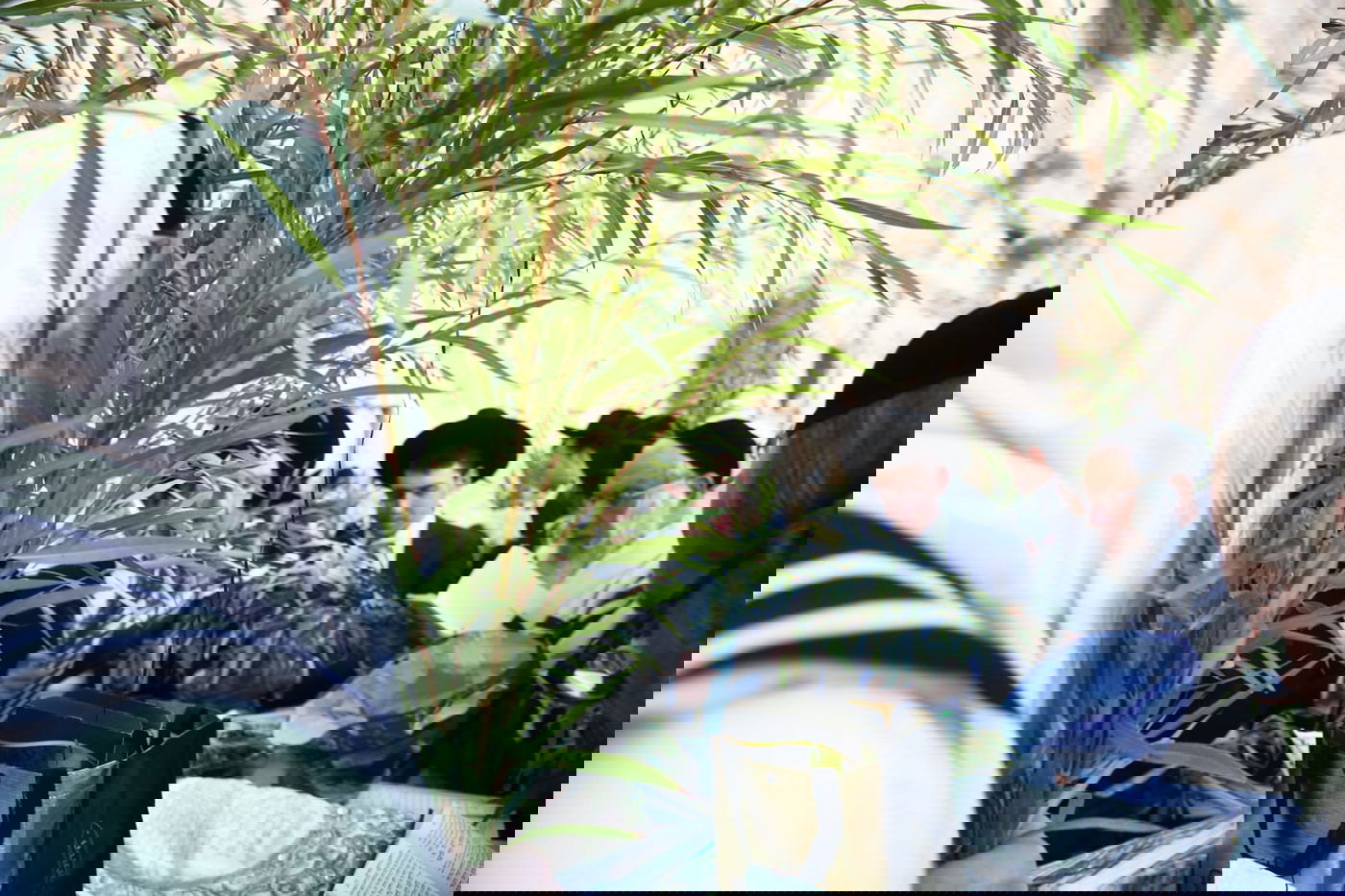 אלפים בליל הושענא רבא ברחבת הכותל המערבי