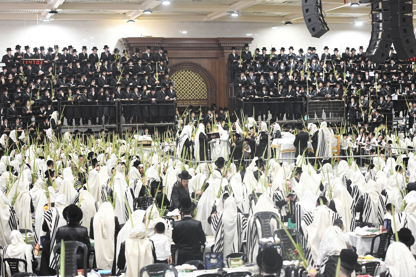 'העפיל טיש': הושענא רבה ושמחת תורה בצאנז