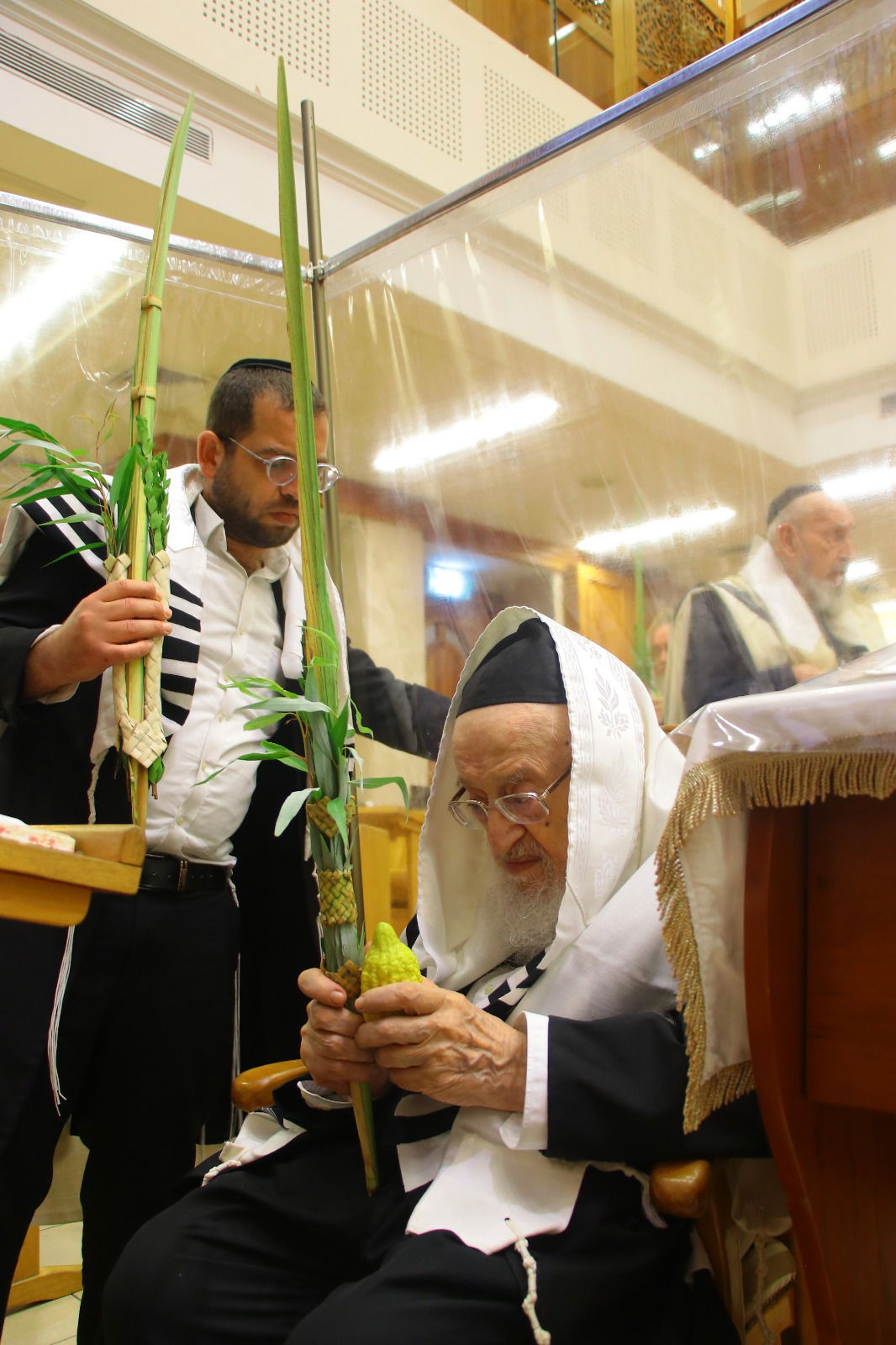 חג הסוכות במחיצתו של חבר המועצת הוותיק | תיעוד נרחב