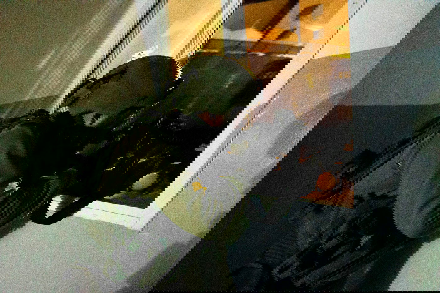 כוחות הביטחון עצרו 12 מבוקשים בחשד לפעילות טרור