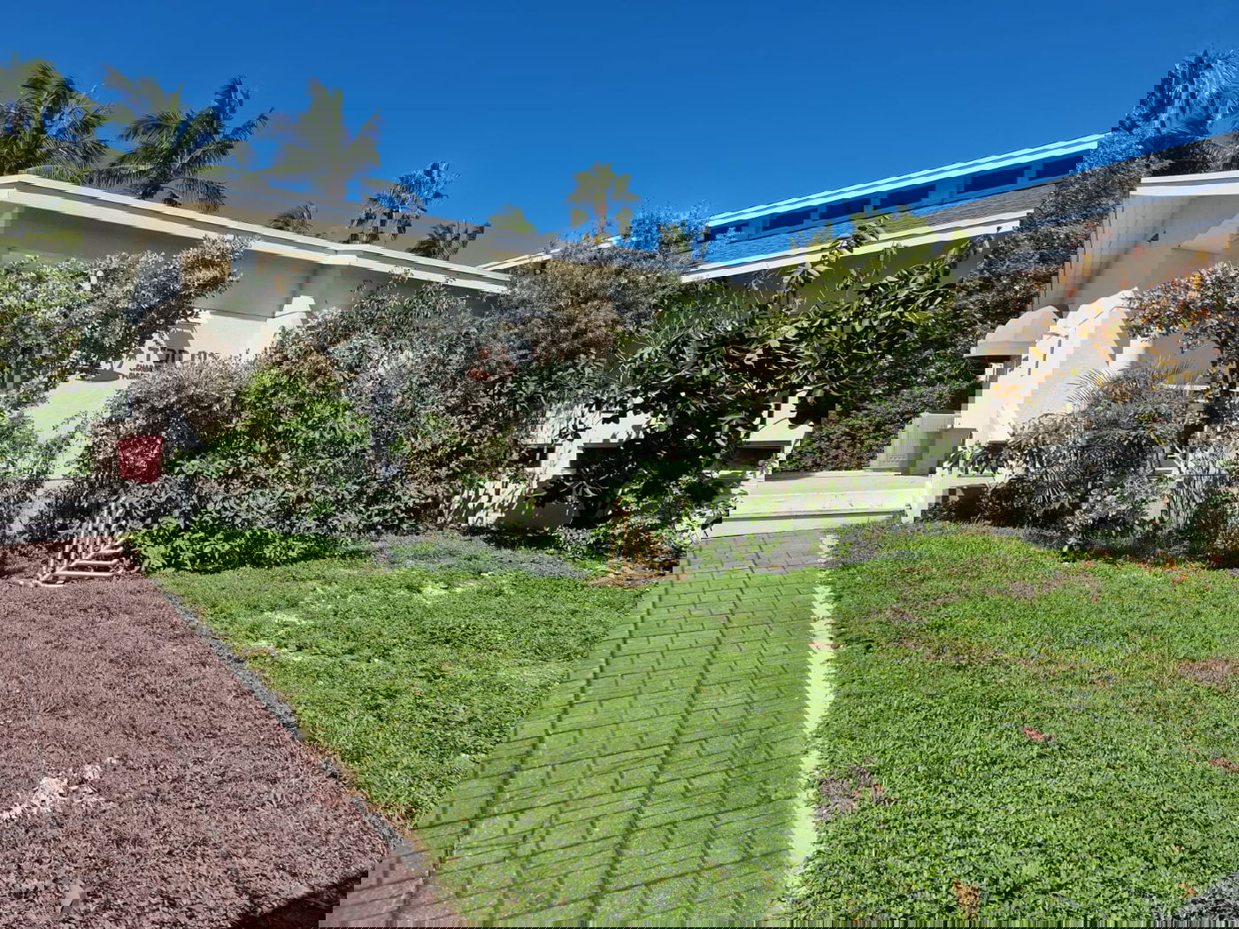 כך חגגתי את יום הכיפורים בצילה של סופת הוריקן // יומן מסע