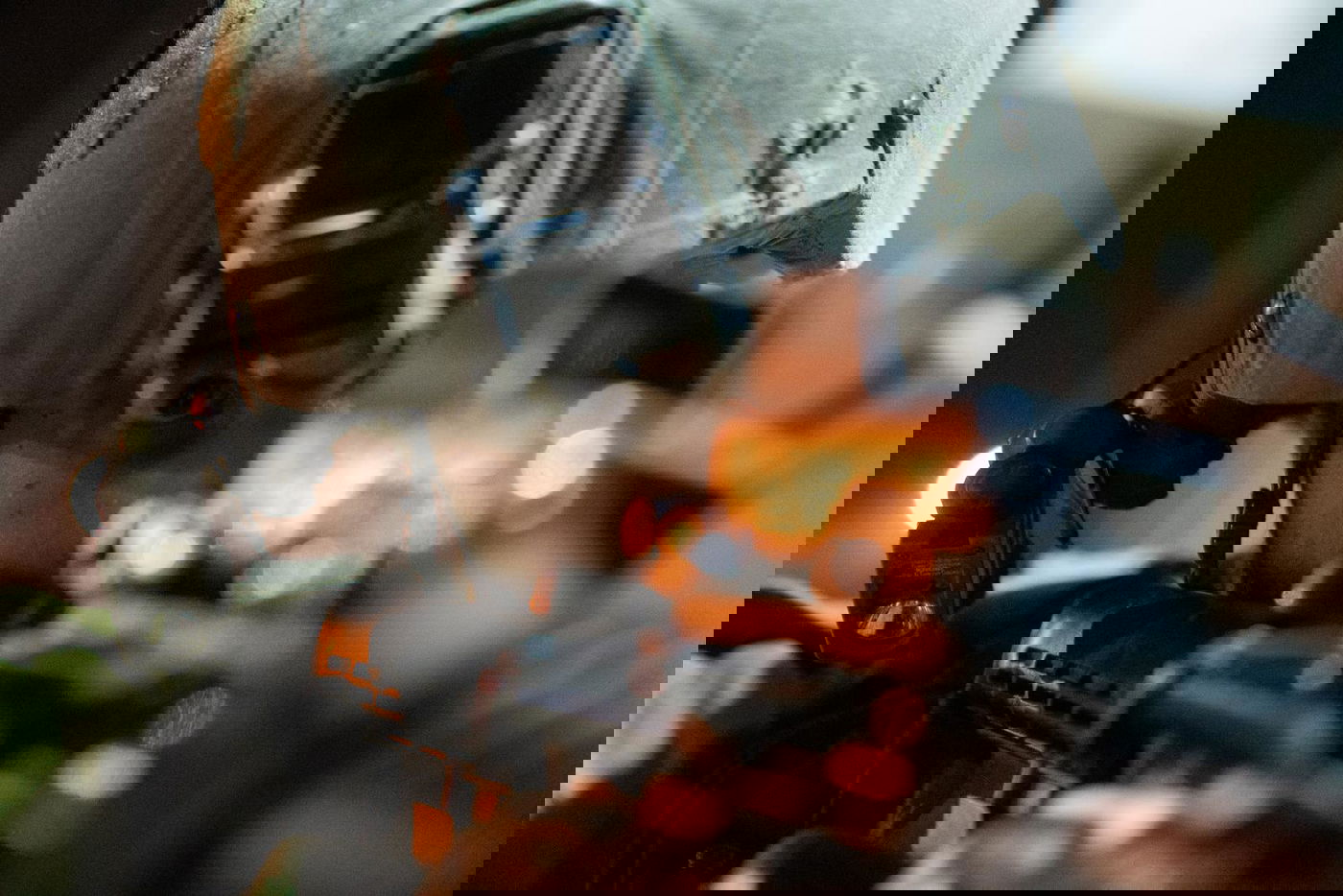 14 רכבים גנובים אותרו | צפו בפעילות של צה"ל ביו"ש