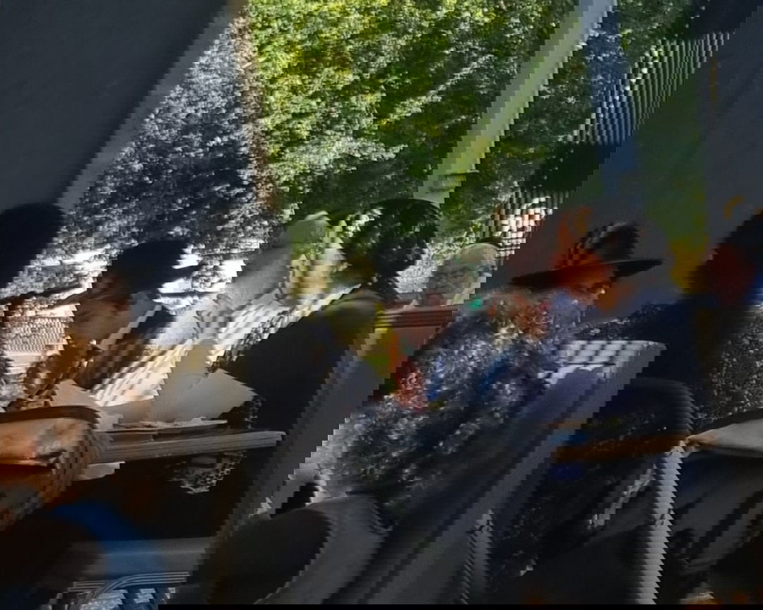 זופניק בכיכר • כל התמונות והנייעס של סוכות והמסתעף