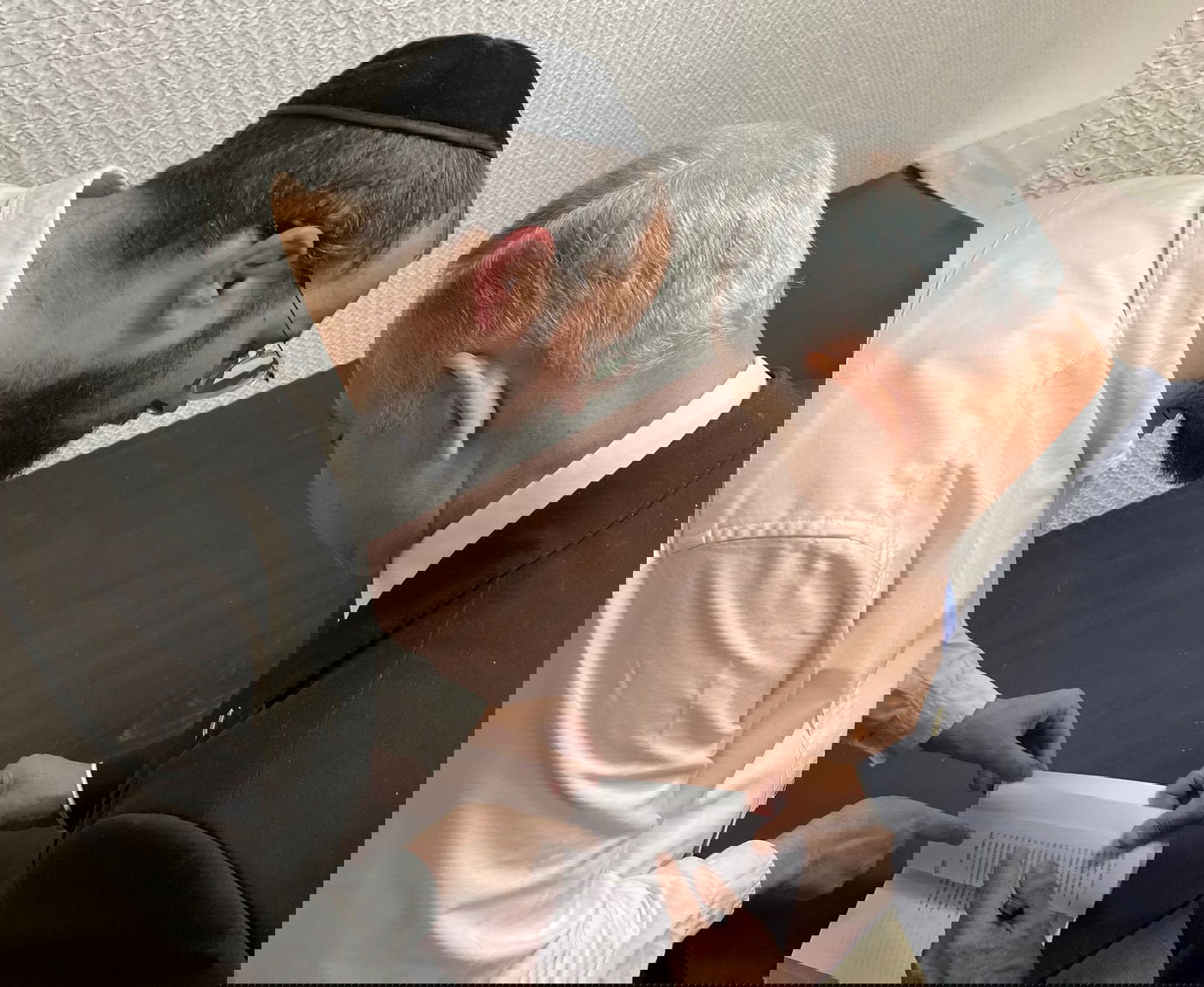 זופניק בכיכר • כל התמונות והנייעס של סוכות והמסתעף