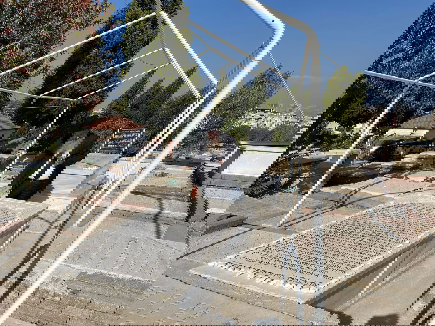 זופניק בכיכר • כל התמונות והנייעס של סוכות והמסתעף