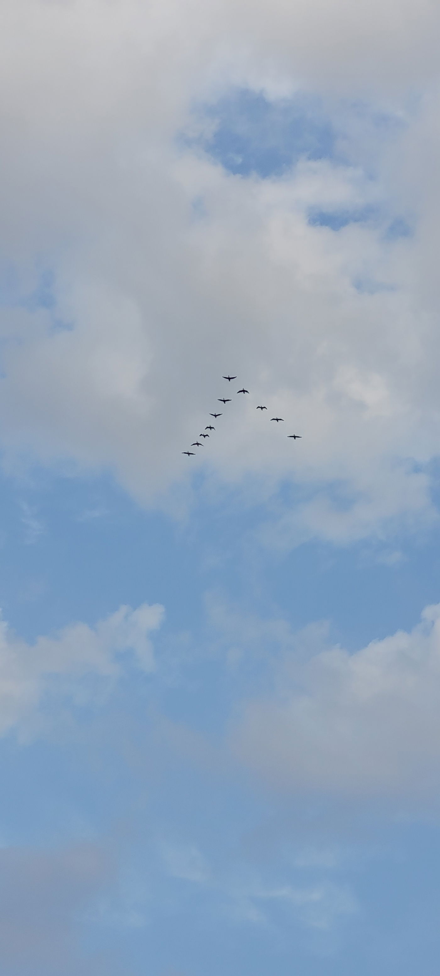 טיול דרך עדשת המצלמה לאגמון החולה הקסום