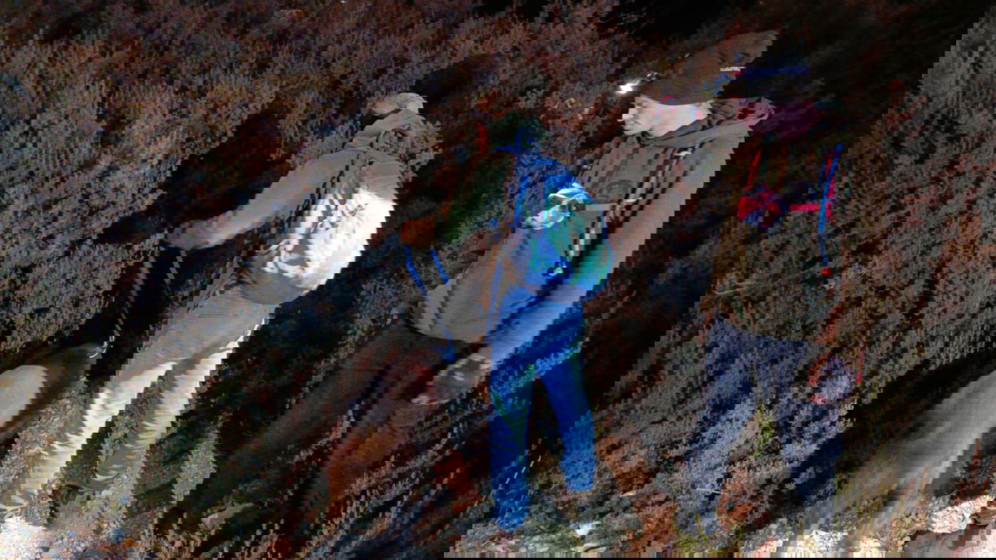 החיפושים אחרי דהן