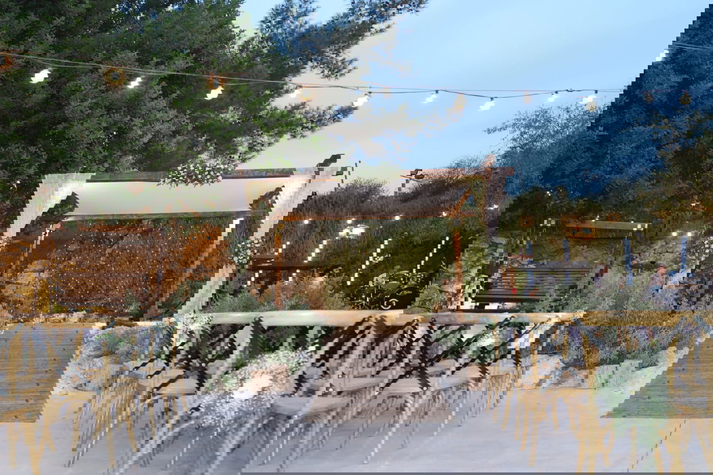 שייח'ים מדובאי רקדו בחתונת בתה של עומר ינקלביץ • צפו