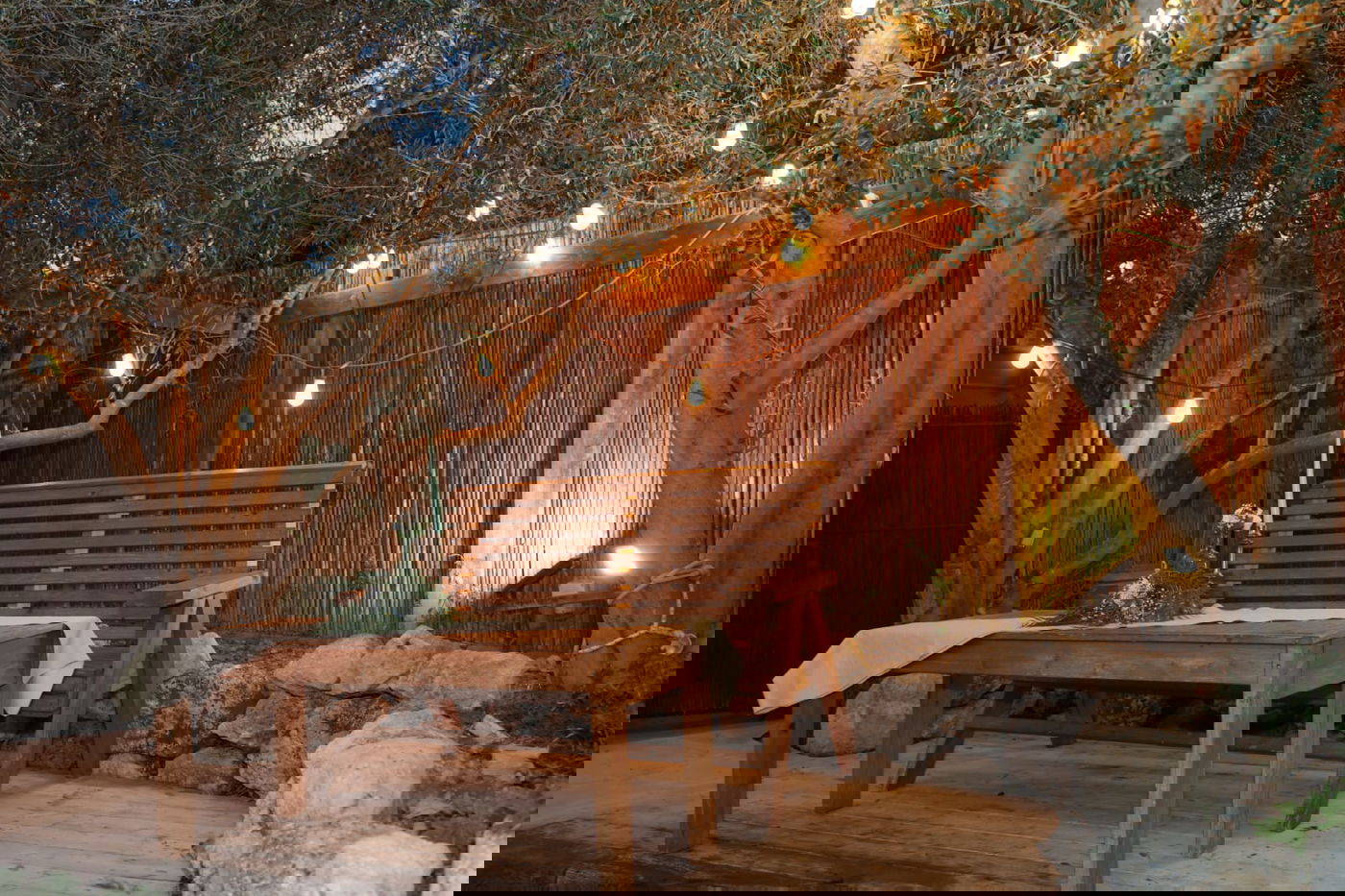 שייח'ים מדובאי רקדו בחתונת בתה של עומר ינקלביץ • צפו